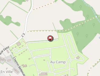 Carte de Leveugle Pascal à Romieu (la)