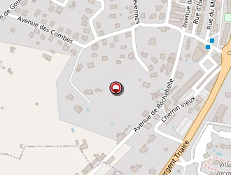 Carte de Beecham Yael à Vigan (le)