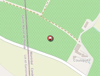 Carte de De Wit Henri à Montréal