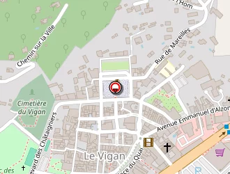 Carte de Vidal Nelly à Vigan (le)