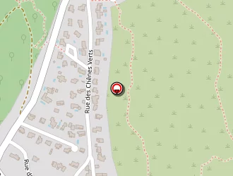 Carte de Steffen Denis à Saint-maximin