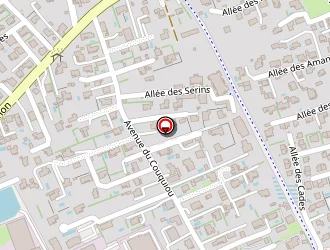 Carte de Sérigraphie Gimo à Entraigues-sur-la-sorgue