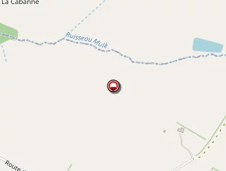 Carte de Des Sapins à Saint-avit-frandat