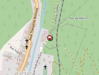 Carte de Bergereau Martial à Fontan