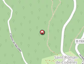 Carte de Mairie à Saint-roman-de-codières