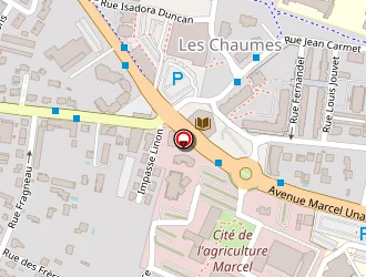 Carte de Idgen Services à Montauban