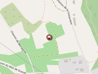 Carte de Castillo Christophe à Pujaut