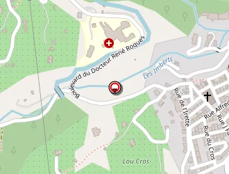 Carte de Taxi Allo Christian à Roquebillière