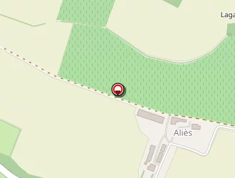 Carte de Gaudé Pierre à Lannes