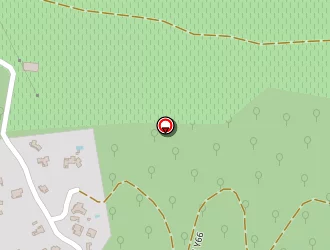 Carte de Travers Lionel à Saint-siffret