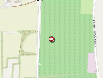 Carte de Reynaud (earl) à Saint-siffret