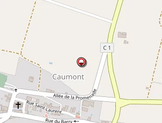 Carte de De Salvador Cédric à Caumont