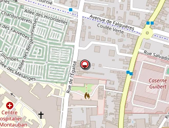 Carte de Mairie à Montauban