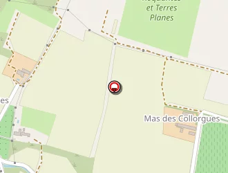 Carte de Bonzi Sébastien à Saint-siffret