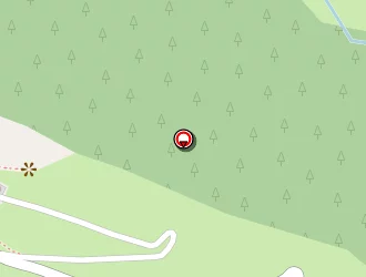 Carte de Microsite Sportif à Ilonse