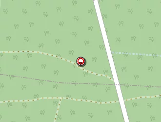 Carte de Pompiers à Saint-justin