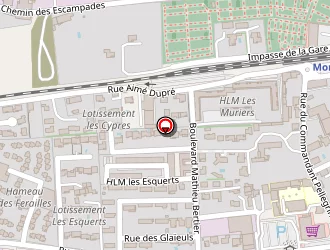 Carte de Thouvenin-floriet Chloé à Monteux