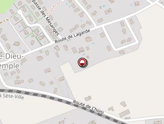 Carte de Brustet Daniel à Ville-dieu-du-temple (la)