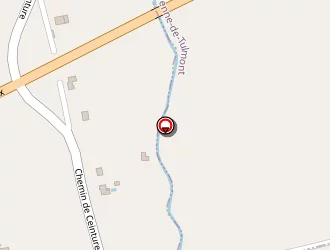 Carte de Bournet Anthony à Montauban