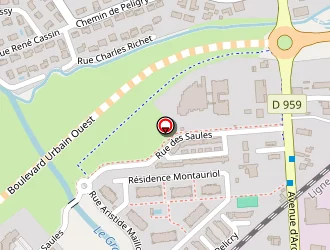 Carte de Hortense Lasserre à Montauban