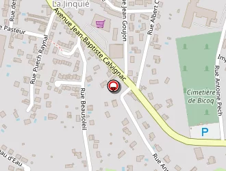 Carte de Robert Jean à Carmaux