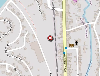 Carte de Griffon Arielle à Blaye-les-mines