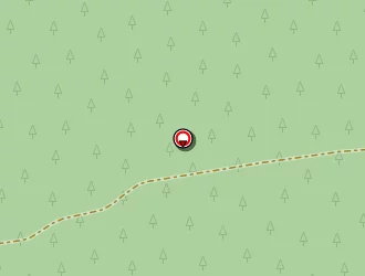 Carte de Frédéric Marsan à Garein