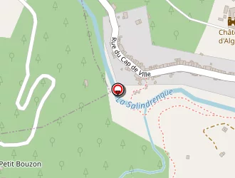 Carte de Guiraud De Willot Didier à Lasalle