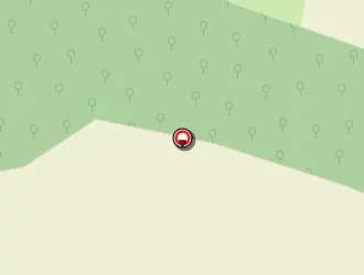 Carte de Cluzel René à Lestrade-et-thouels