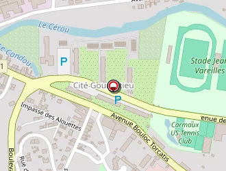 Carte de Piscine Caneton à Carmaux