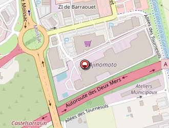 Carte de Transports Reveilhac à Castelsarrasin