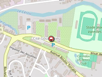 Carte de Le Boeuf Marin à Carmaux