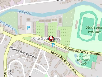 Carte de Le Boeuf Marin à Carmaux