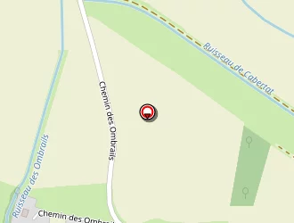 Carte de Ricard Jean Claude à Nègrepelisse