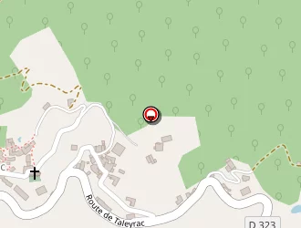 Carte de Prieur Denis à Valleraugue