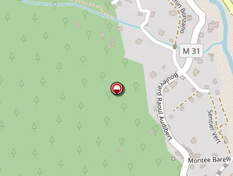 Carte de Raibaut Franck à Saint-martin-vésubie