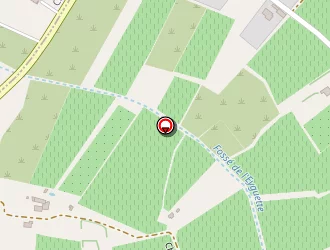 Carte de Demenkoff Boris à Mazan