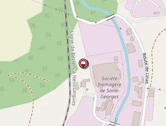 Carte de Cgln à Saint-georges-de-luzençon