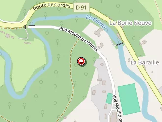 Carte de Larroque Maurice à Monestiés