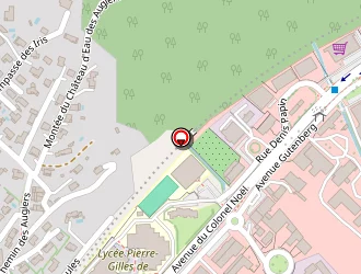 Carte de Digne Auto à Digne-les-bains