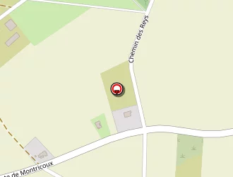 Carte de Jp Castel à Nègrepelisse