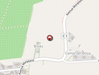 Carte de Bernard Vincent à Espalais