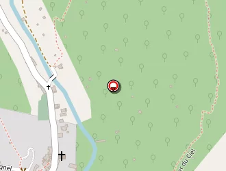 Carte de Pizza 4000 à Valleraugue