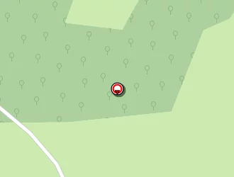 Carte de Nesly Bernard à Bruniquel