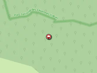 Carte de Niko Bat Pro à Valleraugue