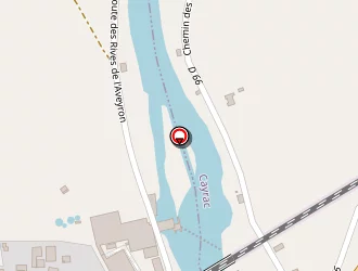 Carte de Neumann Fabienne à Albias