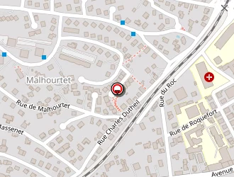 Carte de Miquel Yves à Millau