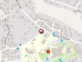 Carte de Villain Max à Millau