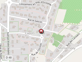 Carte de Bourriague Stéphanie à Dunes