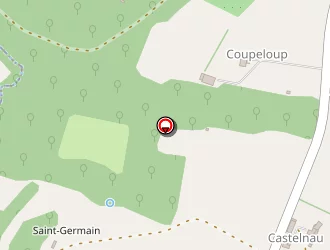 Carte de Burgalasse Marcel à Caudecoste